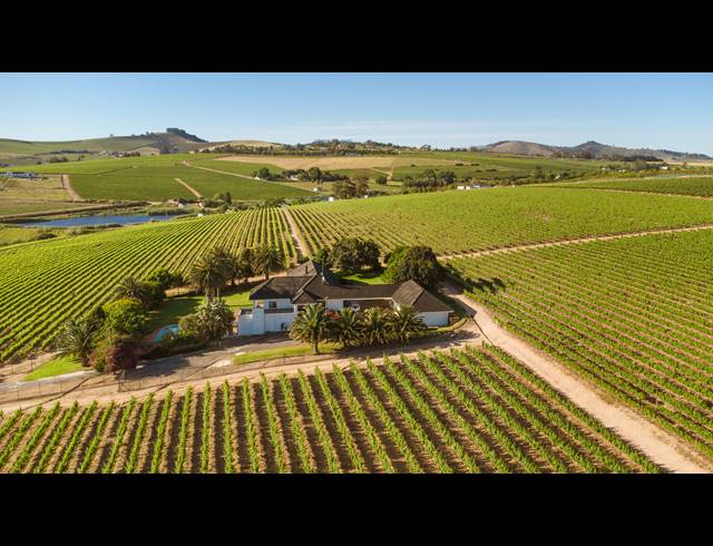 94HA FARM FOR SALE IN STELLENBOSCH FARMS